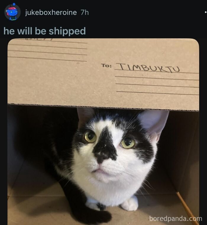 funny-out-of-context-posts