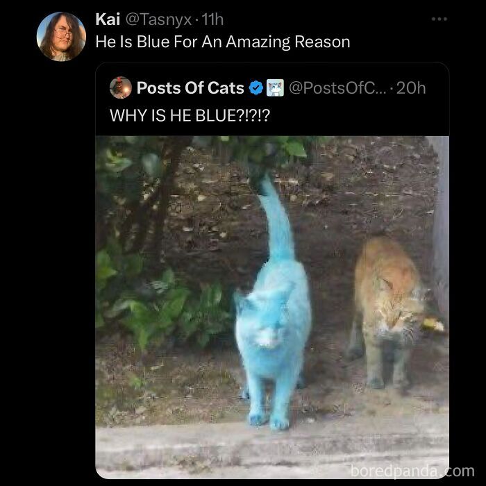 funny-out-of-context-posts