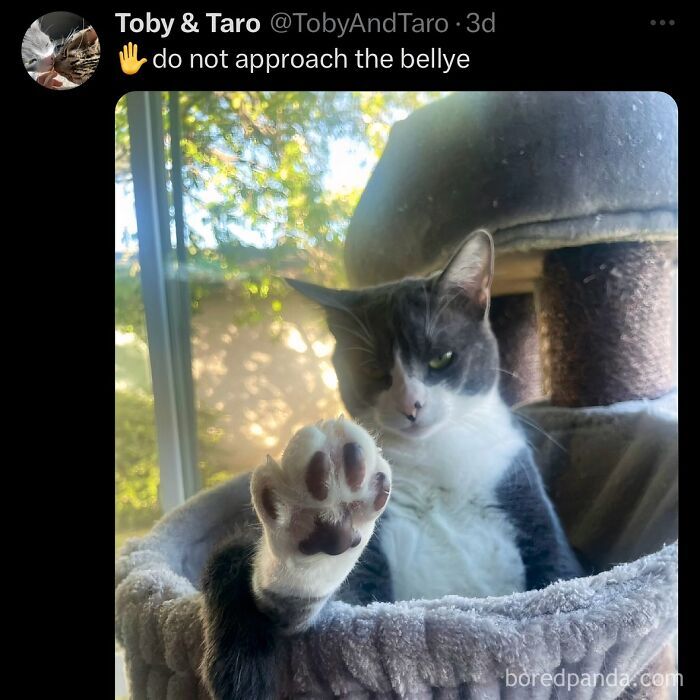 funny-out-of-context-posts