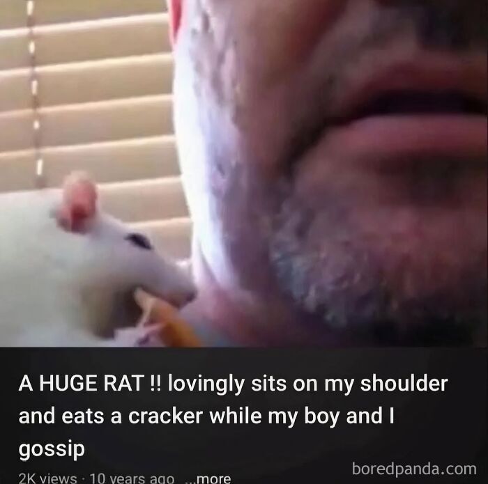 funny-out-of-context-posts
