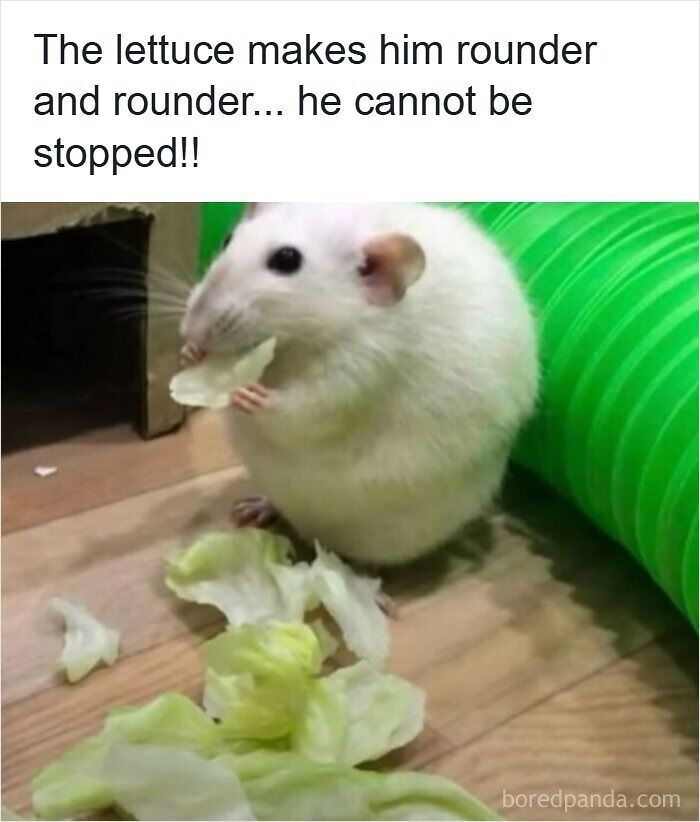 funny-out-of-context-posts