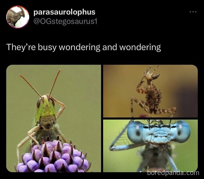 funny-out-of-context-posts