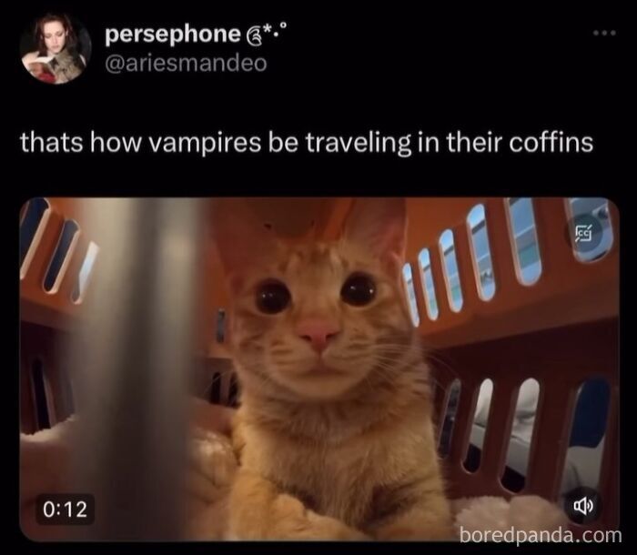 funny-out-of-context-posts