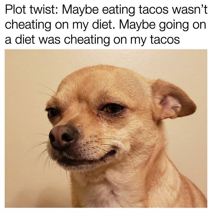 Dawg Got A Point