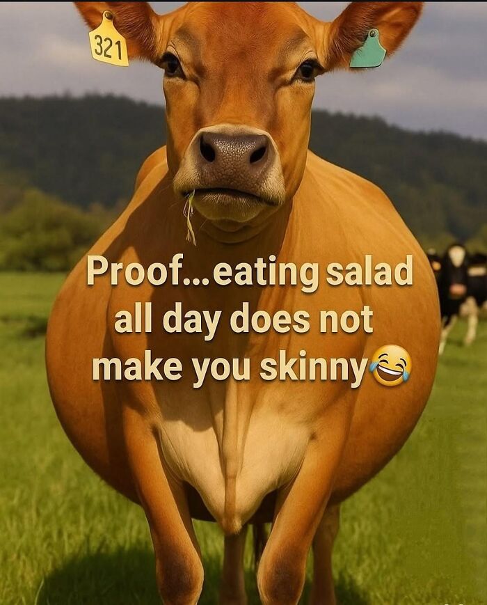 Eating Salad All Day