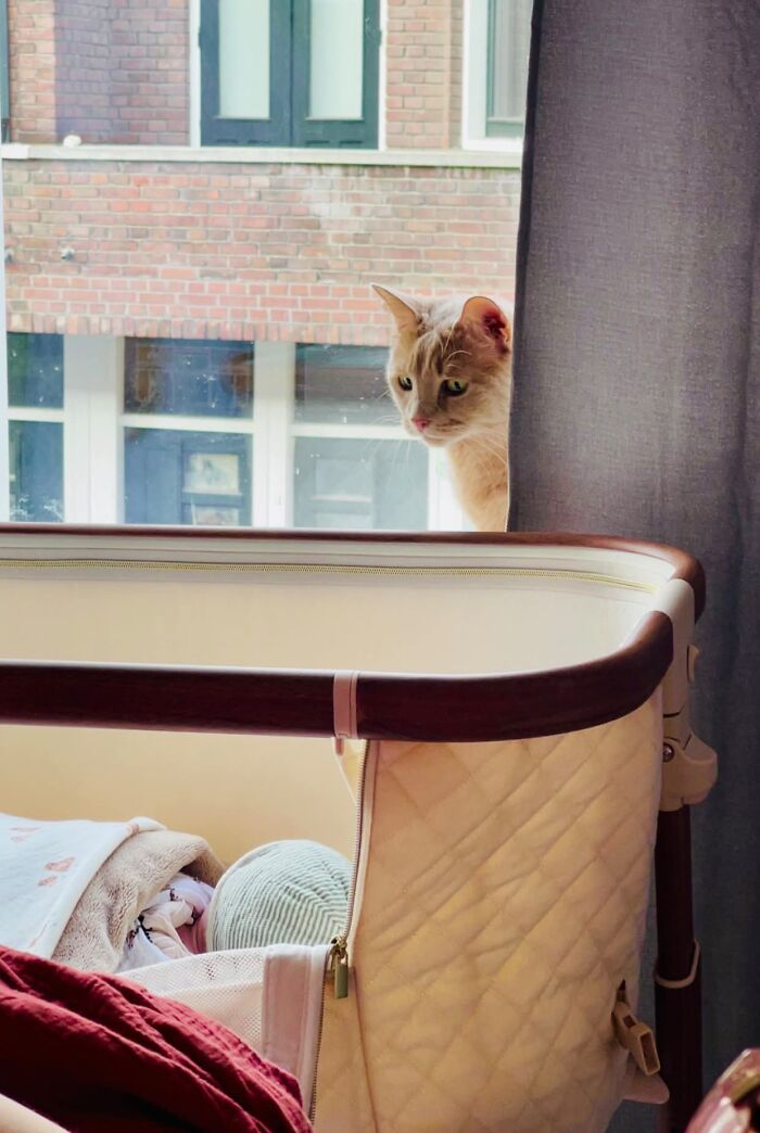 Also Works As Baby Monitor