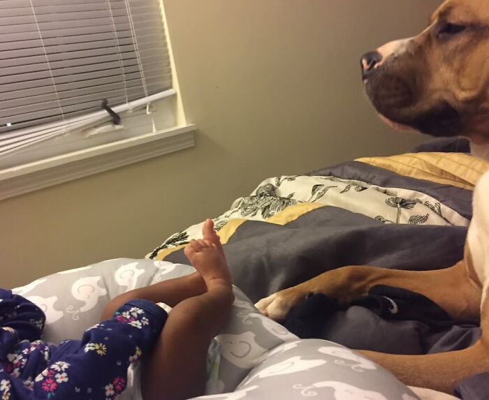 My Furson Adored His Sister 🥹