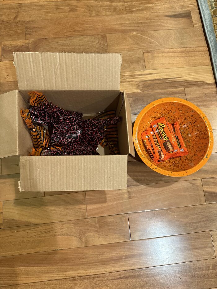 A cardboard box and orange bowl on a floor showing funny photos when Halloween didn’t go as planned.