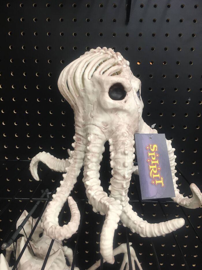 Odd skeleton octopus Halloween decoration that didn't go as planned.