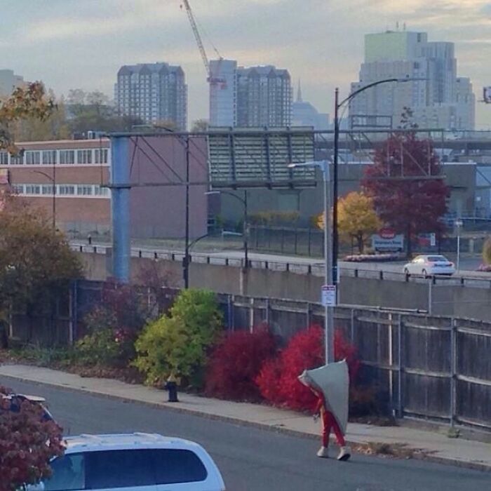 A person wearing a huge pizza slice costume walking down a city street, funny Halloween fail photo