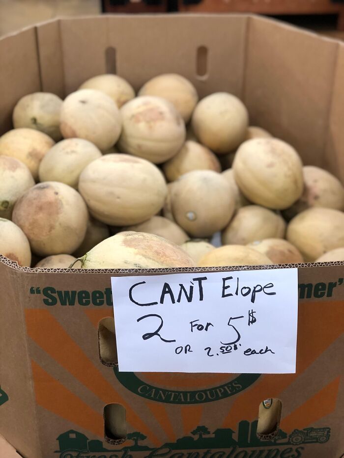 A cardboard box filled with cantaloupes featuring a sign with a funny spelling fail CANT Elope.