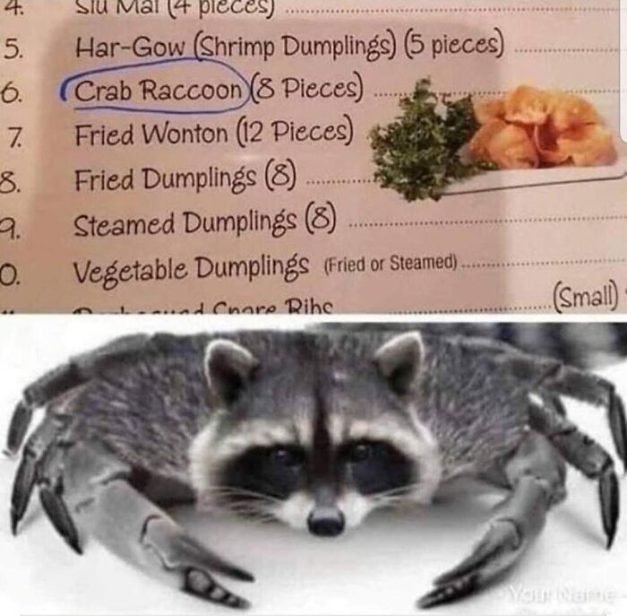 A menu listing Crab Raccoon instead of Crab Rangoon showing funny spelling fails.