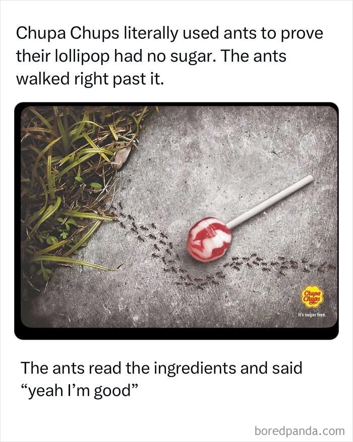 Entertaining and iconic ads featuring ants walking around a sugar free Chupa Chups lollipop on ground