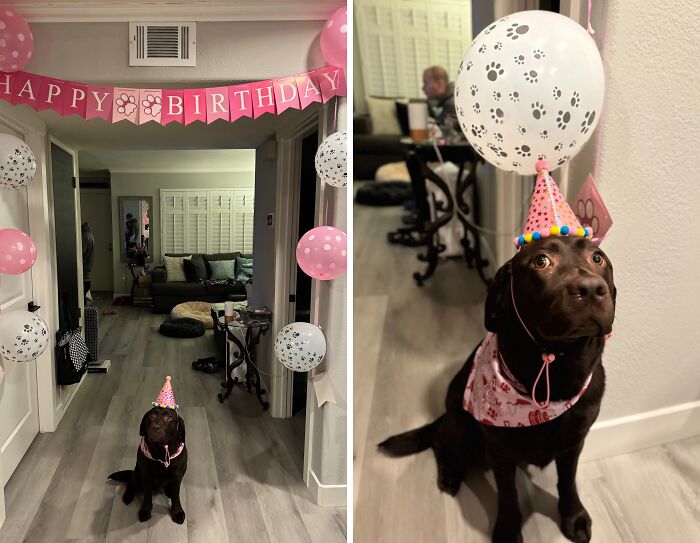 We Also Make Sure To Celebrate Her Birthdays (Especially Now Since She’s A Cancer Survivor🥰)