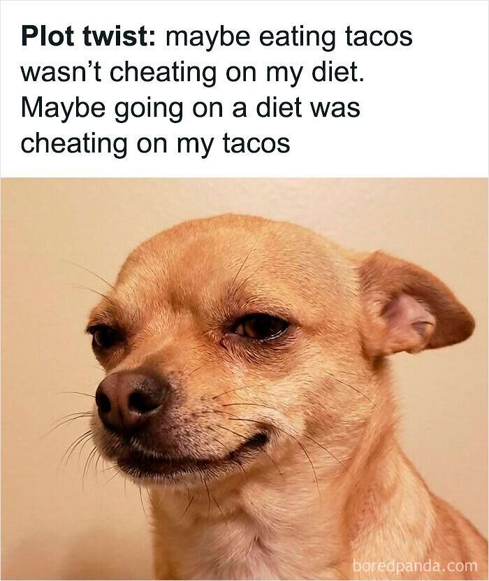 Dawg Got A Point
