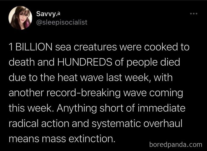 A dark tweet addressing heat waves and environmental crisis, capturing the essence of dark dystopian memes.