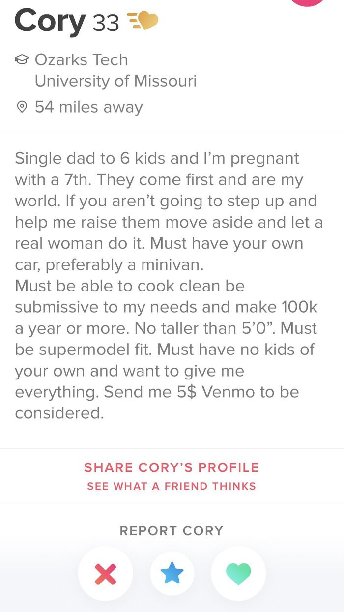 A screenshot of a frustrating Tinder profile listing a long list of unrealistic demands.