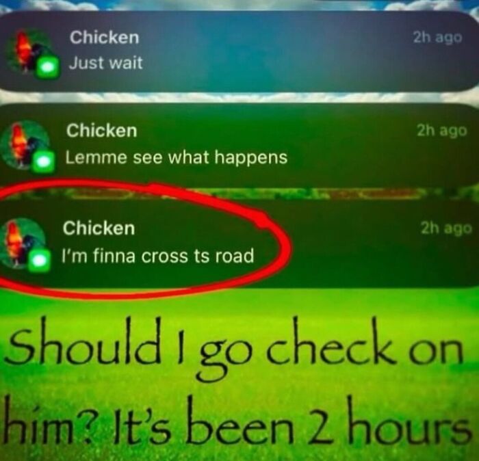 Absurd internet post showing text notifications from a chicken about crossing the road.