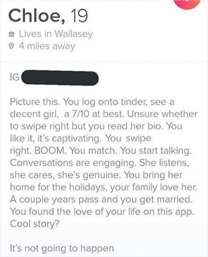 Sarcastic Tinder bio reflecting realistic expectations in modern dating