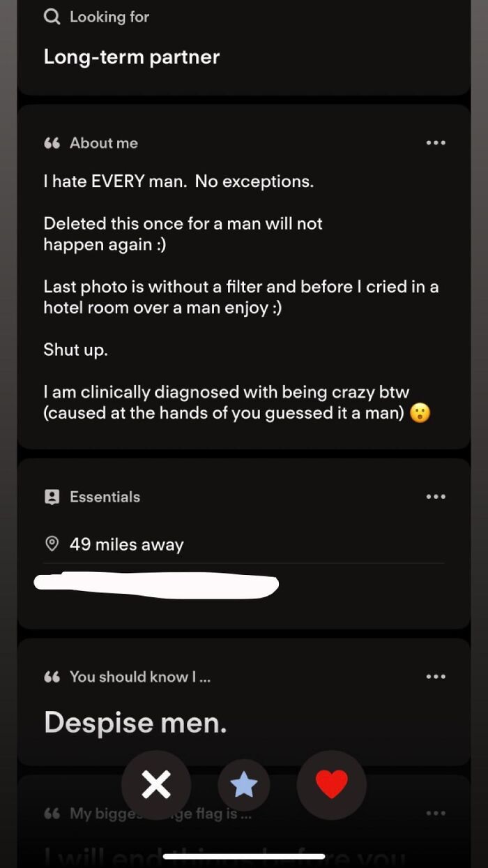 Dating app profile bio expressing extreme dislike for men as a Tinder story example of modern dating.