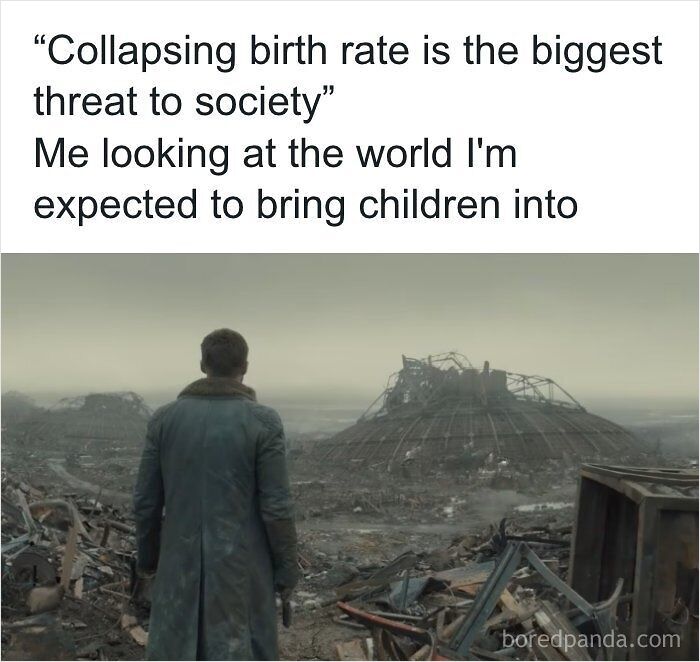 A dark dystopian meme showing a person looking over a ruined landscape, illustrating societal collapse and low birth rates.
