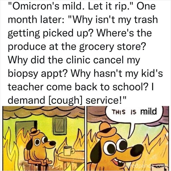 This is fine meme dog surrounded by fire with text about omicron, illustrating dark dystopian memes.