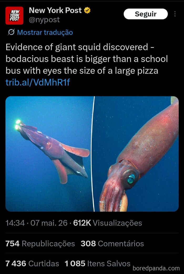 A news post about a giant squid instead of using the metric system for measurement.