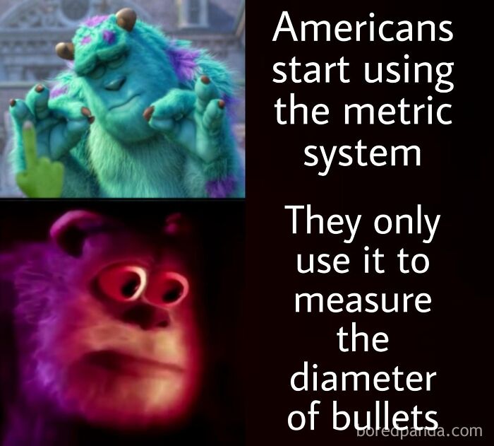 Funny meme of Sulley from Monsters Inc making a point about Americans and the metric system.