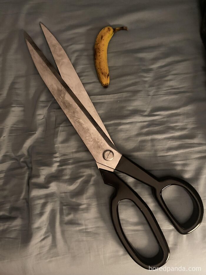 Funny posts image showing huge scissors measured next to a banana instead of the metric system.