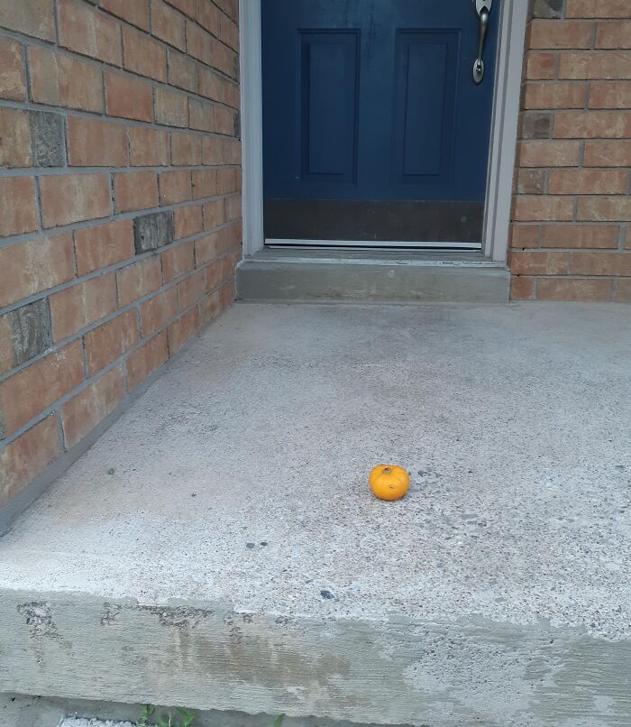 A tiny single orange pumpkin sitting alone on a large concrete porch step for Halloween