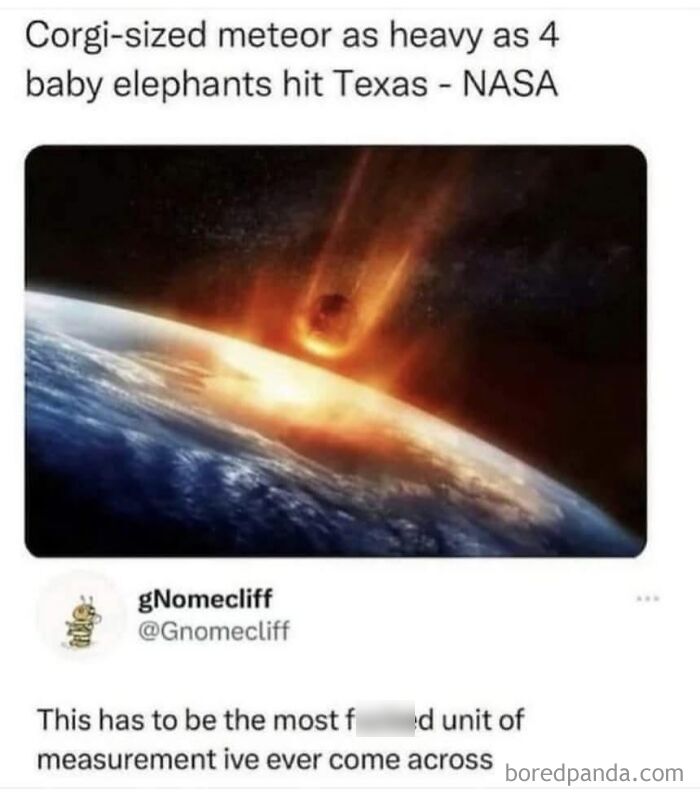 A social media post measuring a meteor in corgis and elephants, part of funny posts about the metric system.