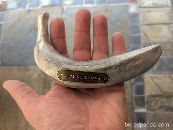 A metal prop labeled scaling banana showing funny non metric system measurement object.
