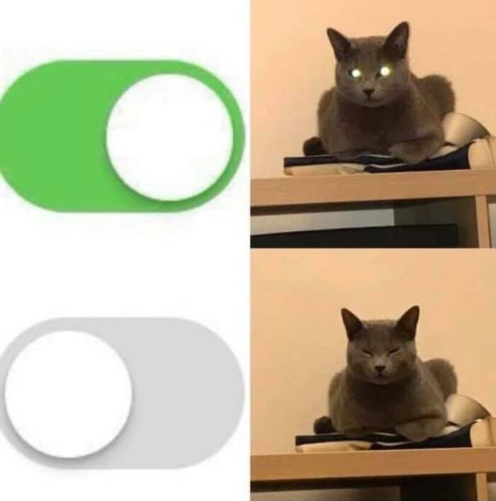 Funny cat memes depicting a cat with glowing eyes turning on and off like a toggle switch.