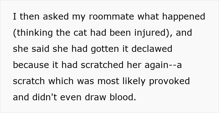 Cat Owner Comes Home To Find Her Pet With Bandaged Paws After Roommate Ignored A Clear &ldquo;No&rdquo;