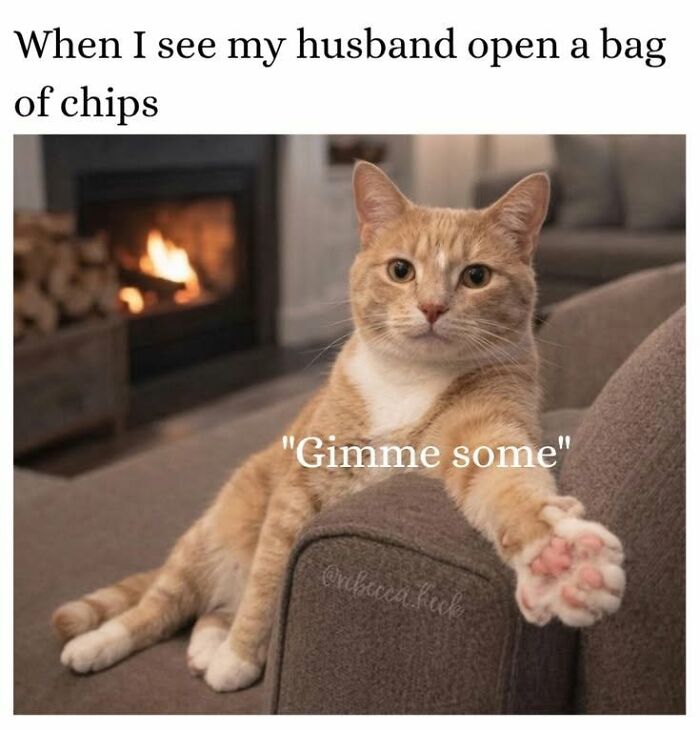 50 Animal Memes From The “Love Animal Memes” Facebook Page That Perfectly Capture The Chaos Of Living With Pets