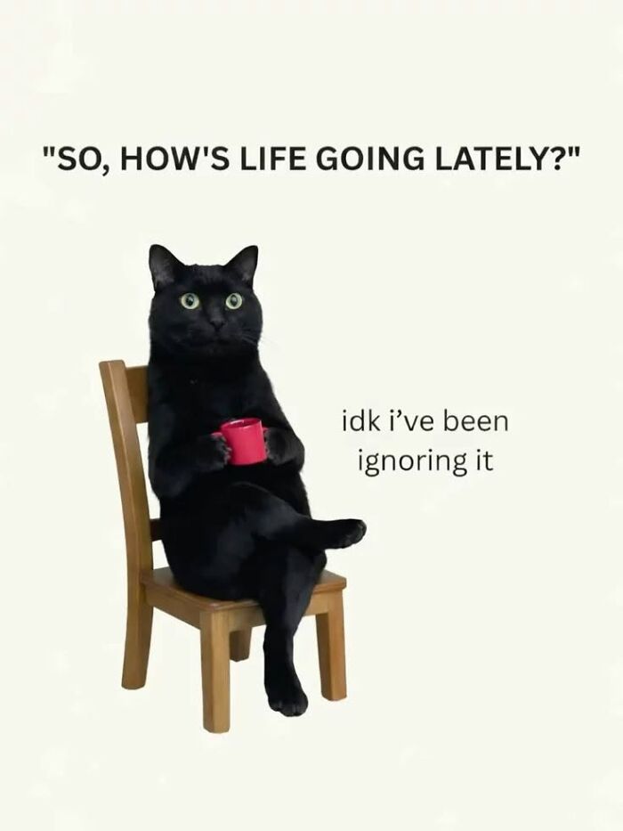 50 Animal Memes From The “Love Animal Memes” Facebook Page That Perfectly Capture The Chaos Of Living With Pets