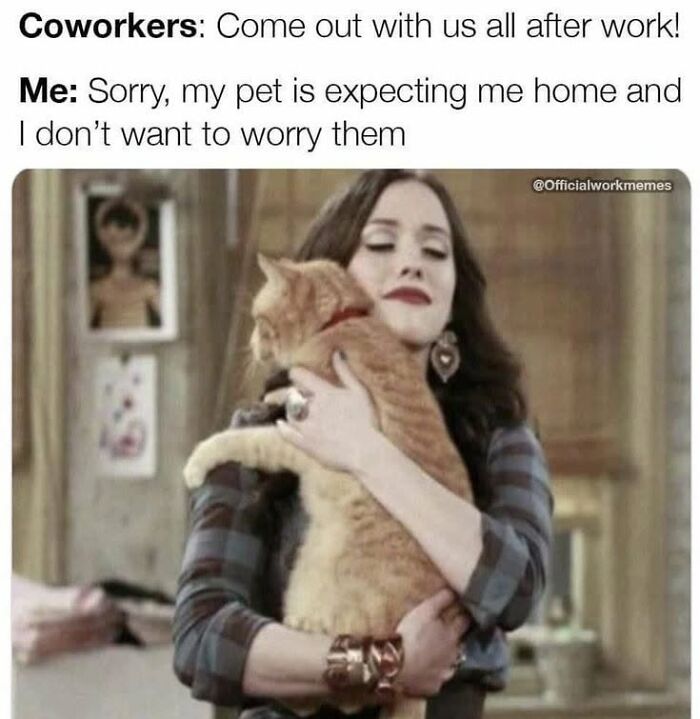 50 Animal Memes From The “Love Animal Memes” Facebook Page That Perfectly Capture The Chaos Of Living With Pets