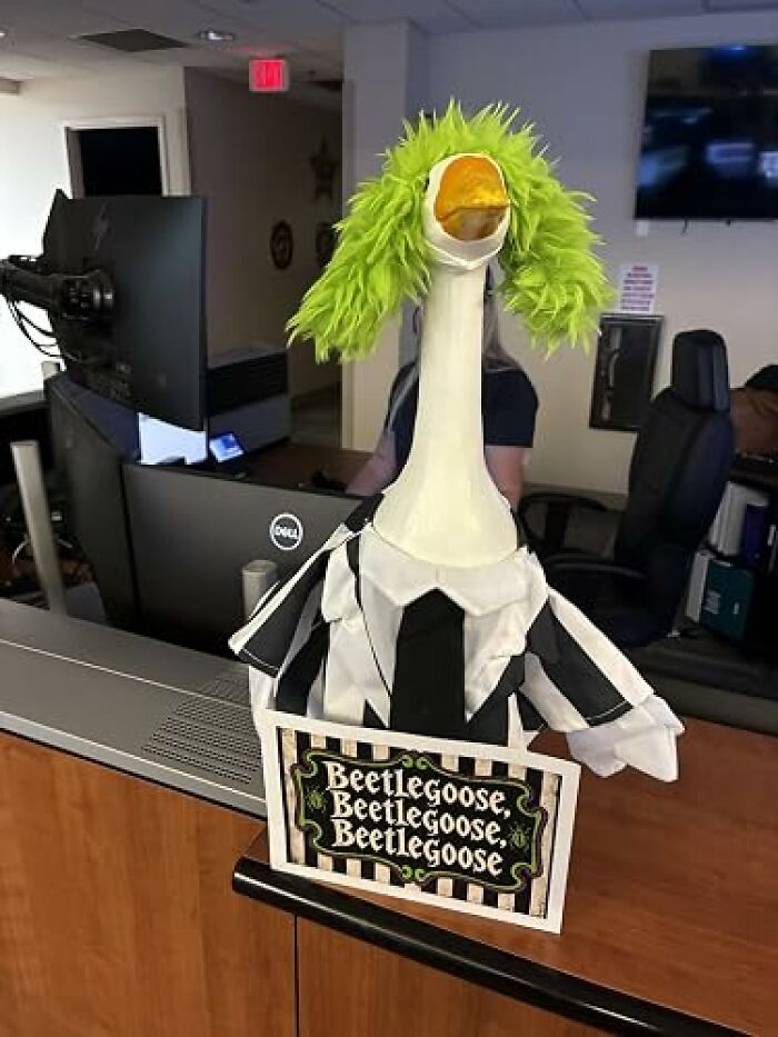 A lawn goose dressed in a striped suit and wig as a low-effort Halloween costume inspired by Beetlejuice.
