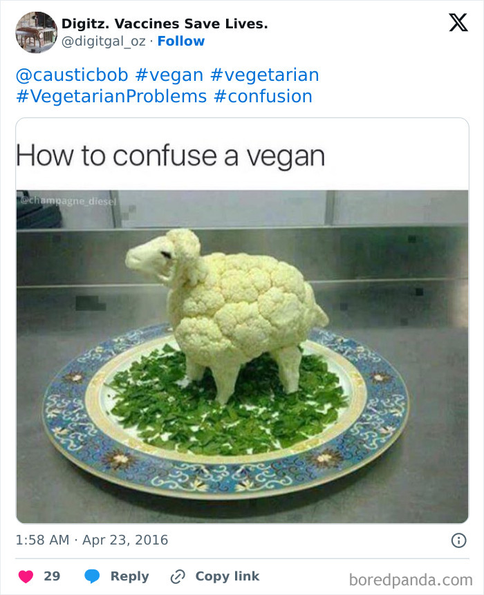 Funny-Vegetarian-Tweets