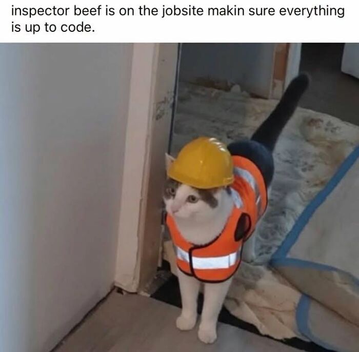 50 Animal Memes From The “Love Animal Memes” Facebook Page That Perfectly Capture The Chaos Of Living With Pets