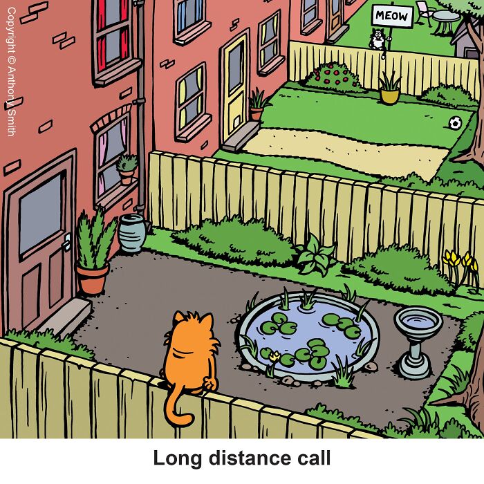 Funny cat comics drawing of an orange cat in a yard looking at a distant cat holding a sign.