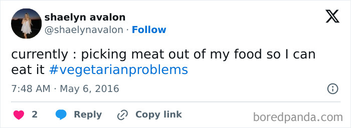 Funny-Vegetarian-Tweets