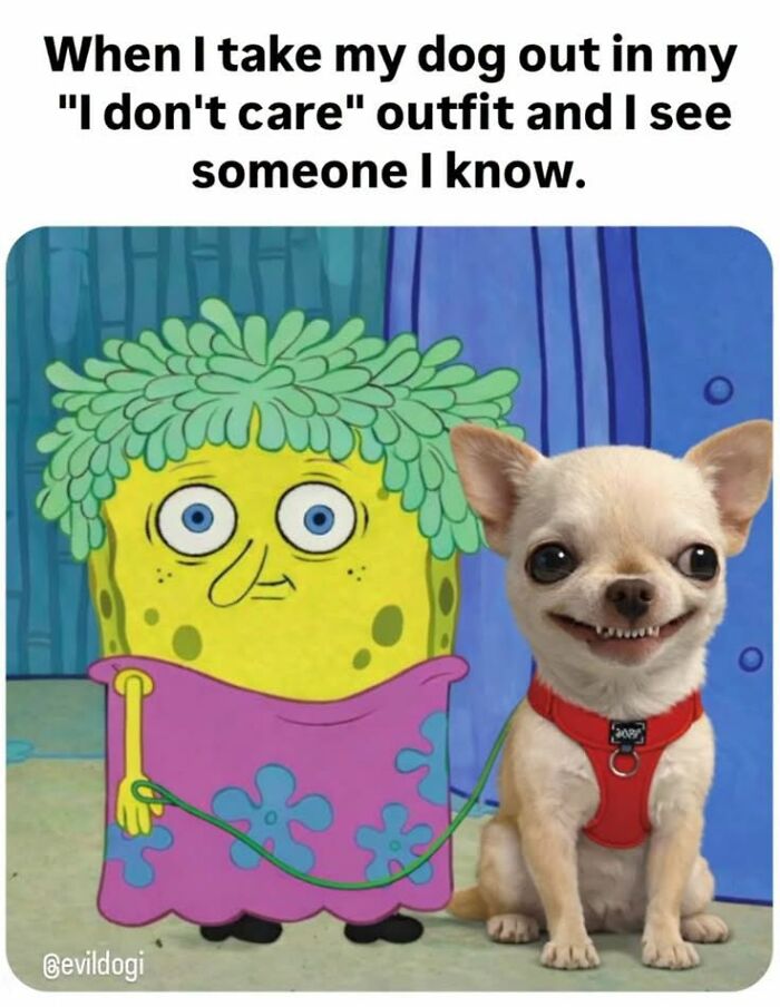 50 Animal Memes From The “Love Animal Memes” Facebook Page That Perfectly Capture The Chaos Of Living With Pets