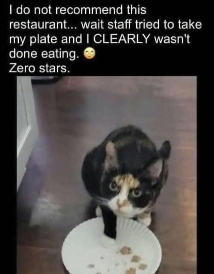 50 Animal Memes From The “Love Animal Memes” Facebook Page That Perfectly Capture The Chaos Of Living With Pets