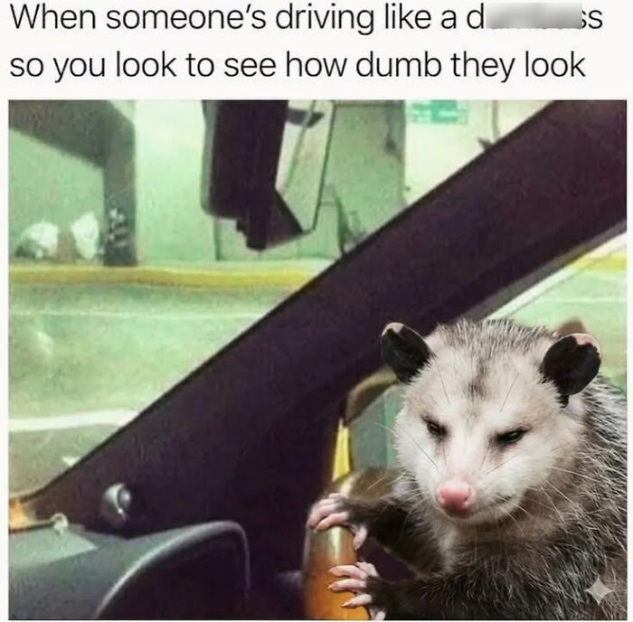 50 Animal Memes From The “Love Animal Memes” Facebook Page That Perfectly Capture The Chaos Of Living With Pets