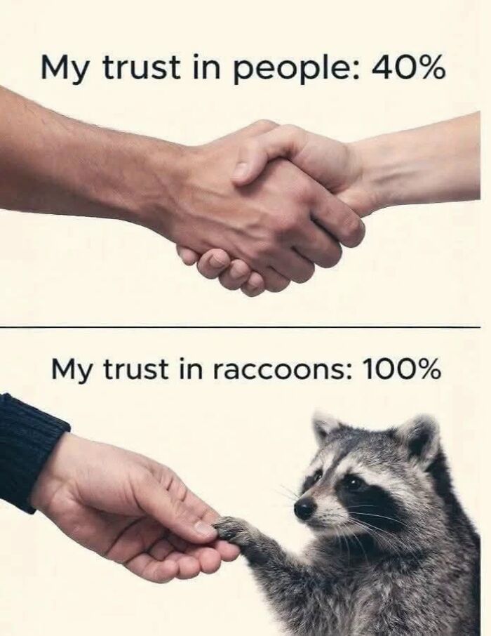 50 Animal Memes From The “Love Animal Memes” Facebook Page That Perfectly Capture The Chaos Of Living With Pets
