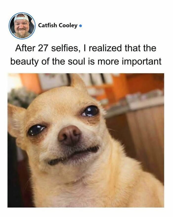 50 Animal Memes From The “Love Animal Memes” Facebook Page That Perfectly Capture The Chaos Of Living With Pets