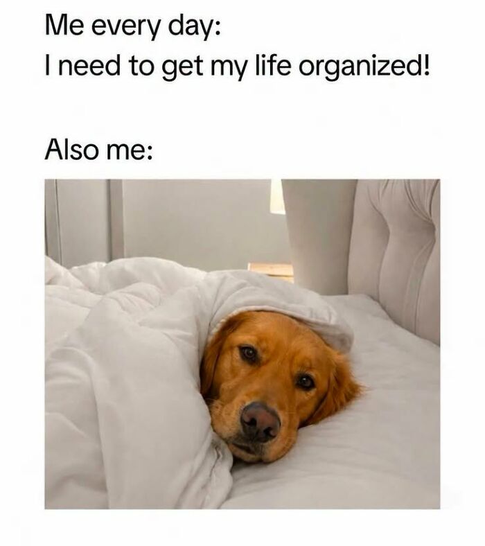 50 Animal Memes From The “Love Animal Memes” Facebook Page That Perfectly Capture The Chaos Of Living With Pets