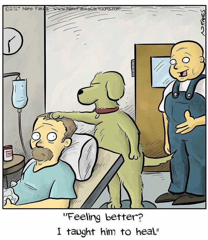 Comic showing a dog healing a man in hospital with a pun on dogs that talk