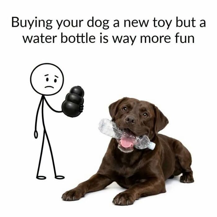 50 Animal Memes From The “Love Animal Memes” Facebook Page That Perfectly Capture The Chaos Of Living With Pets